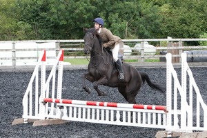 Class 4 - Fences 2'3 to 2'6